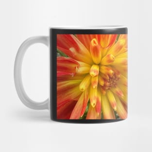 Bursting Yellow and Orange Dahlia of Joy and Happiness Mug